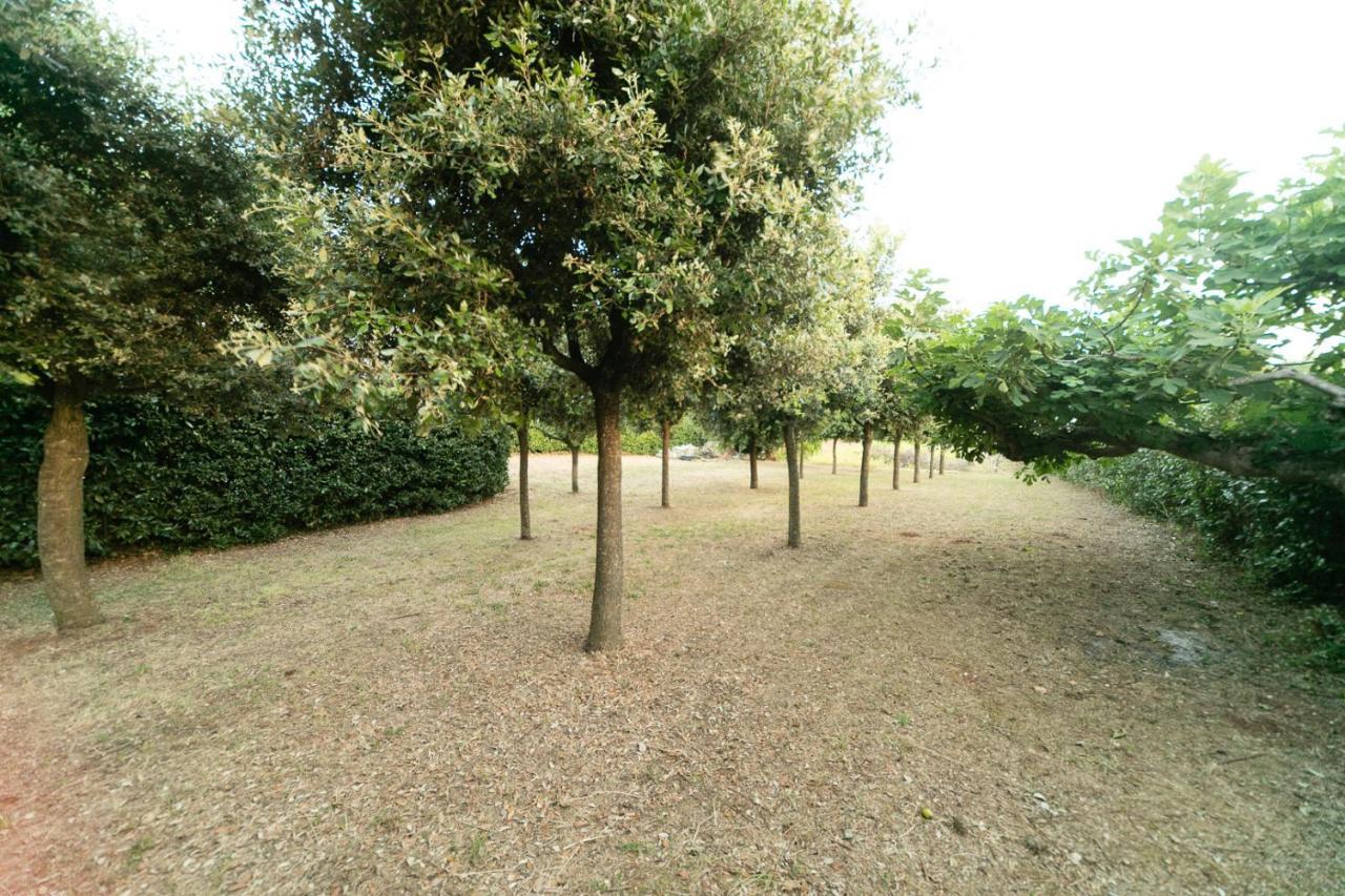 Dimora Beatrice Villa Martina Franca Kültér fotó